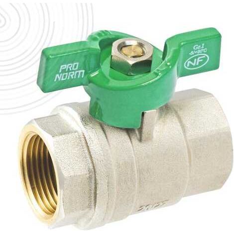 Vanne à sphère Passage Intégrale NF PN25 ACS Papillon Vert F/F 3/4" (20/27) SOMATHERM (1/6)