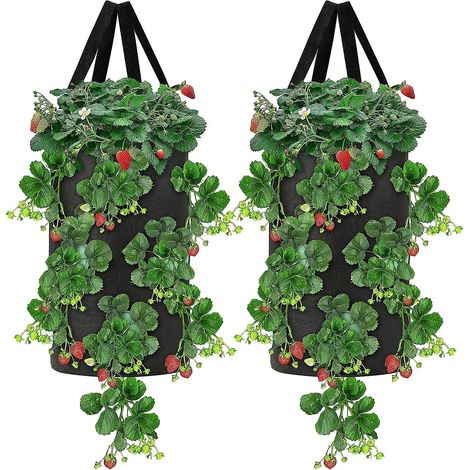 Lot de 2 sacs de culture respirants pour fraises de 10 gallons avec poignées - Jardinières en tissu pour la plantation au jardin (1/5)
