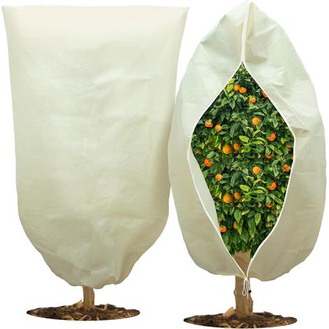 4 housses hivernage plantes 100g/m² 80x100cm (1/2)