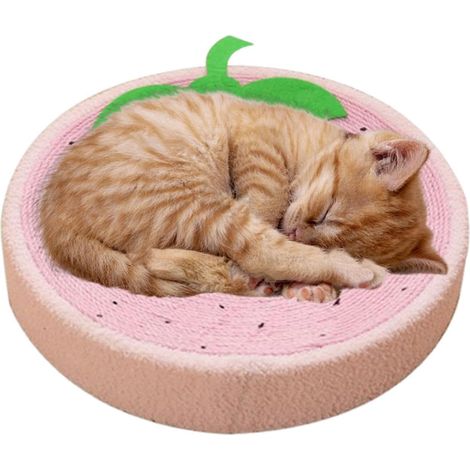 Grattoir pour chat à fruits 40 x 40 x 10 cm Griffoir pour (1/5)