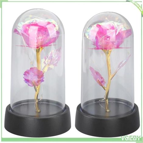 Rose lumineuse en dôme - FAFEICY - Romantique - Rose - ABS & verre - À poser (1/5)