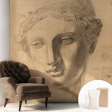 Tapete Vliestapete mit Kleber - Fototapete mit Motiv - Wandtapete modern - Wandgestaltung Frauenporträt 250x250 cm (1/5)