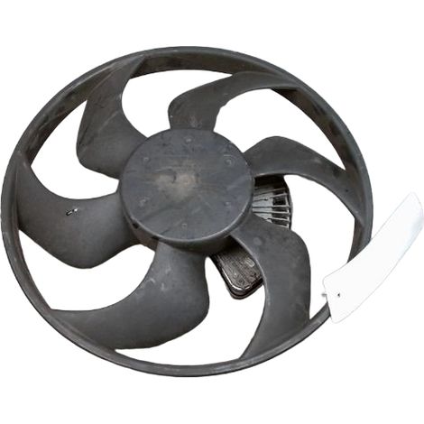 Moteur Ventilateur Radiateur CITROEN C3 Pluriel [PRODUIT D'OCCASION]♻️1253h3 (1/3)