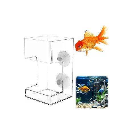 Distributeur de nourriture pour poissons carré et transparent en acrylique, avec ventouse pour distribution automatique. (1/5)