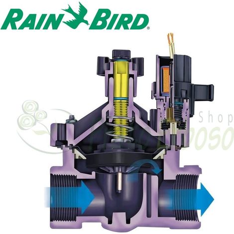 150-PESB - 1" válvula de Solenoide 1/2