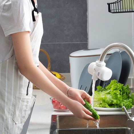 Machine à laver les fruits et légumes domestiques, purificateur d'ozone O3, machine de stérilisation et de détoxification à l'oxygène, purificateur d'eau avec préfiltration (1/5)
