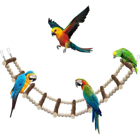 Jouets pour Oiseaux, échelles en Bois, Jouets pour perruches Accessoires de cage à oiseaux pour perruches, calopsittes, cacatoès (échelle 10 sections, 64 cm)