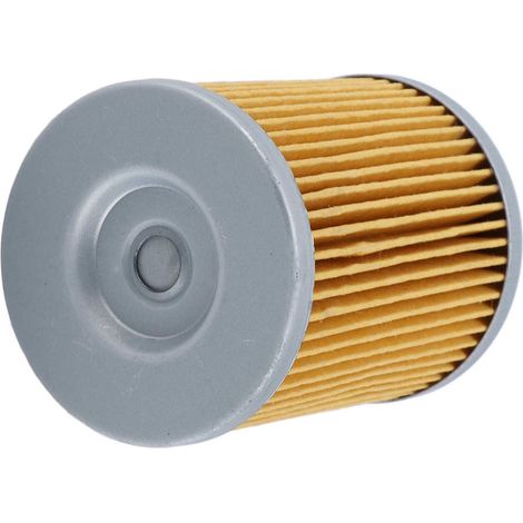 Motorölfilter, Motorschutz, Ersatzteile für das Quad Odyssey LZ800 RM800 (1/5)