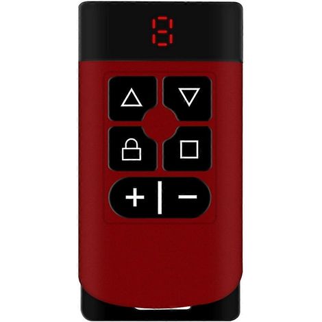 Duplicateur de télécommande de porte de garage à 6 boutons 315 MHz-868 MHz B (1/5)