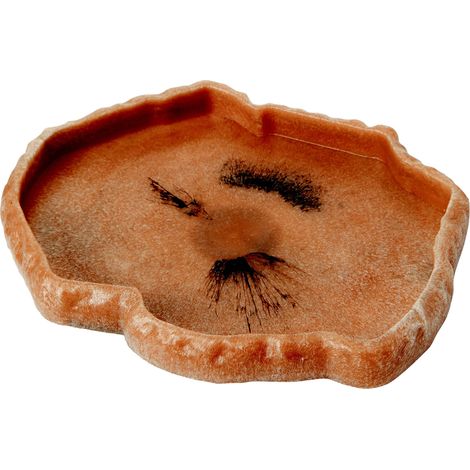 Zoomed T6016140 Repti Rock Mangiatoia (1/3)