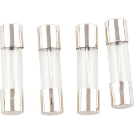 15 Stück x 10 Ampere 250 V flinke Glasrohrsicherung 5 x 20 mm