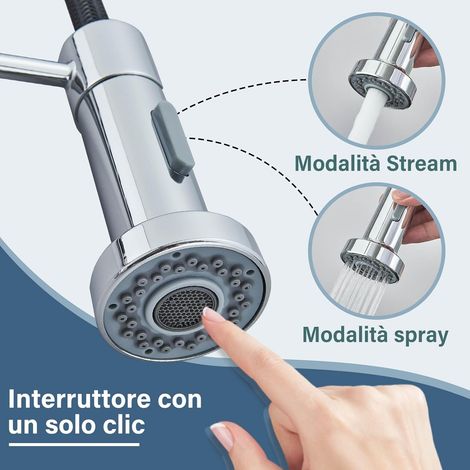 Finition argentée poli du robinet spiral – Double fonction de jet – Mitigeur haute pression pour nettoyage intensif (1/5)