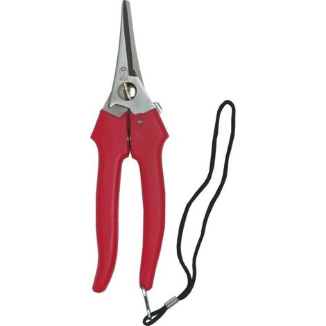 FORBICI COGLIUVA 19 CM LAMA ACCIAIO INOX FORBICE COGLI TAGLIA UVA VENDEMMIA au