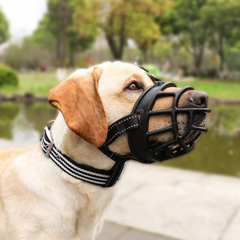 Bozal para perros con correa ajustable circunferencia del bozal: 25,5-28,5 cm longitud del bozal: 9,0-10,5 cm (1/5)