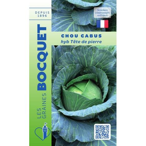 Chou cabus HYB F1 Tête de pierre - 0,3g