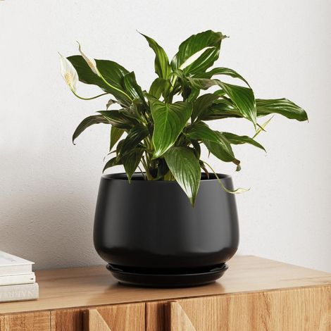 Keramik Blumentopf 25 cm mit Untersetzer, Schwarz, für Innenbereiche (1/5)