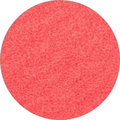 Combidisc® Foglio Abrasivo, Ø 50 Mm Grana: 36 (1/5)