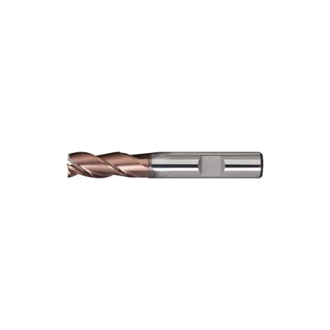 Fresa  de  ranurar  DIN  6527L  TipoN  D.20mm  VHM  TiAlN  HB  Z.3  largo  TECWERK (1/2)