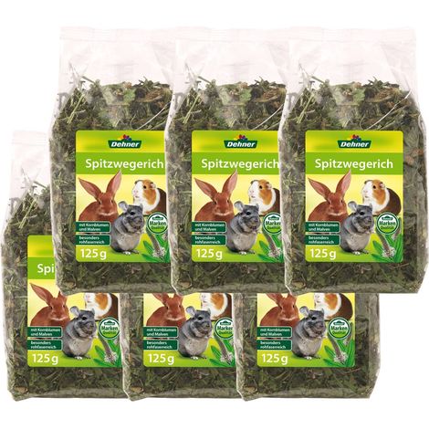 Dehner Roditore – Ribwort Plantain, 6 x 125 g (750 g) (1/3)