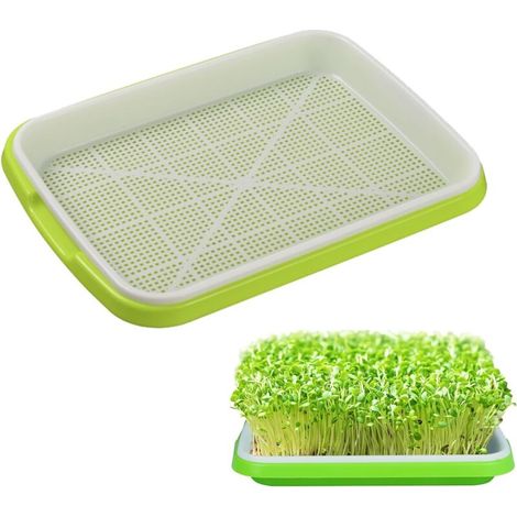 CCYKXAA 1 vassoio per piantine, 32,5 cm x 24 cm x 4 cm, vassoio di germinazione, vassoio per piantine, Pro