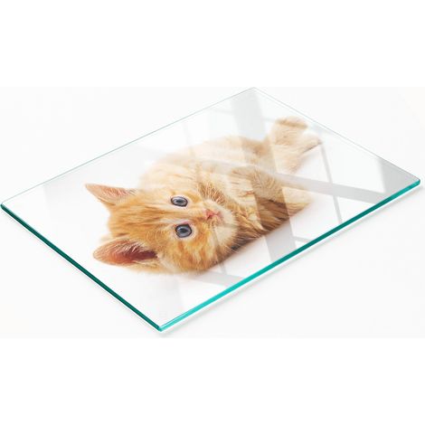 Tablero decorativo multifuncional de vidrio templado con diseño de gato rojo, 80x52 cm. (1/5)