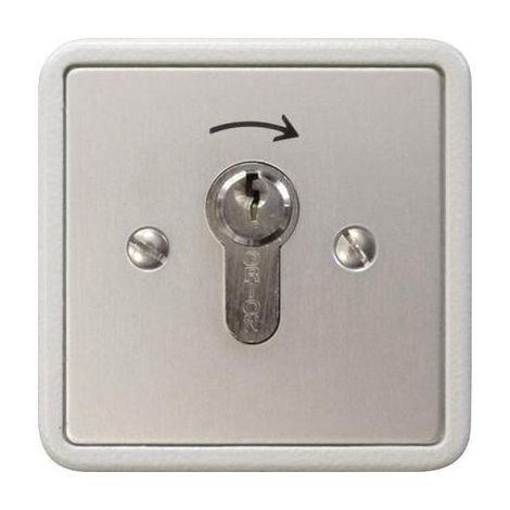 Kaiser Nienhaus Interruptor con llave de aluminio empotrado 322700