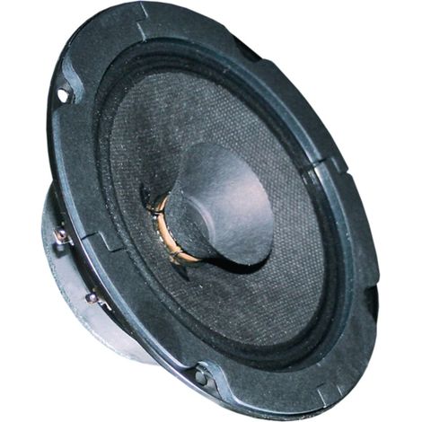 Visaton Vs-bg13p Haut-parleur large bande 13 cm (5") 8 Ohm