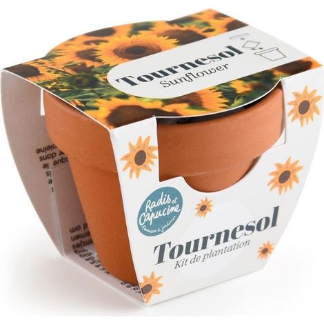 Mini kit 6 cm - Tournesol (1/4)