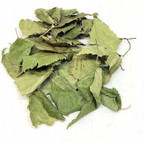 Feuilles de bouleau entières 500 g 100 % naturel