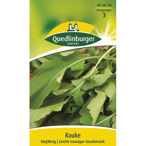 Quedlinburger Saatgut – Roquette annuelle – Graines d'herbes aromatiques, goût piquant de noisette, pour pots et jardinières, env. 30 cm (1/2)