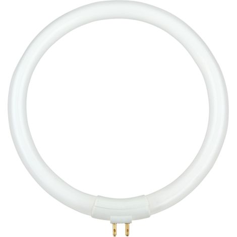 Lampe fluorescente T4 12W pour atelier avec loupe NAR0299 Rebel