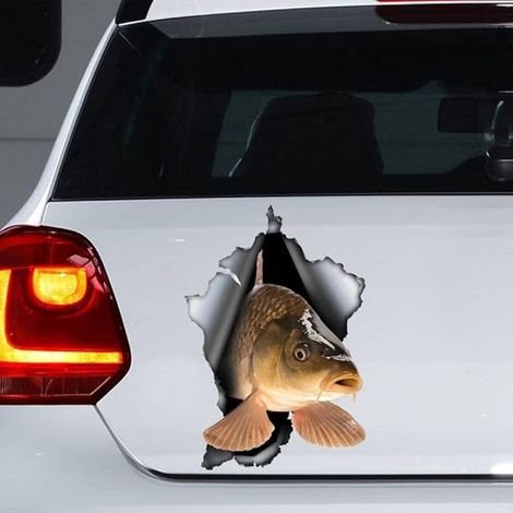 Lntyq Stück Karpfen Autoaufkleber, Magnet, Sticker Laptop Koffer LKW Zubehör Dekoration lustige Stoßstange (1/5)