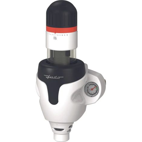JUDO Filtro di protezione a controlavaggio - JPF-QC 1'' 100 ym V2021, 8010219