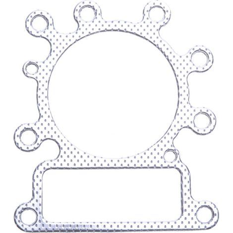 Joint de culasse compatible avec Briggs Stratton remplace 273280S (1/2)