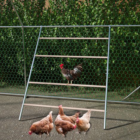 Grand perchoir pour poulailler – perchoir pour poules, jouet amusant pour poules, accessoire pour poulailler (1/5)
