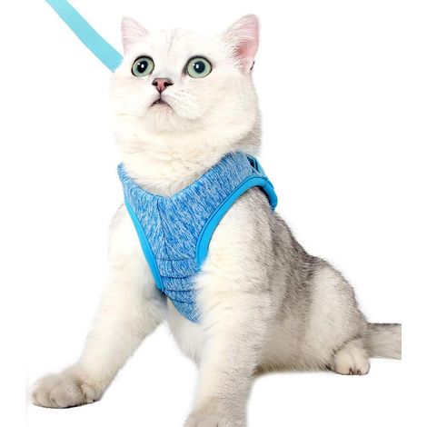 Pettorina per gatti - Set di guinzaglio e imbracatura ultraleggera per gatti, regolabile, anti-fuga, per cuccioli, conigli e furetti (blu, L) (1/5)