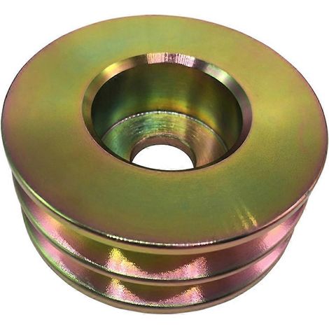 Poulie d'alternateur double 841812 pour (1/5)