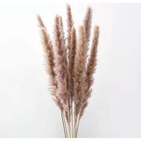 Bouquet de 10 herbes de la pampa séchées naturelles (couleurs primaires)