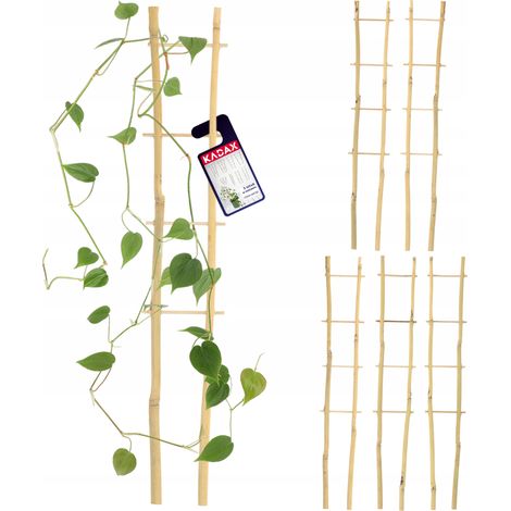 KADAX Lot de 5 échelles en bambou - En forme de V - Hauteur : 38 cm - Double
