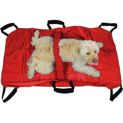 1 - Civière Pliable - Support Dorsal - 6 Poignées De Transport - Pour Chiens âgés Ou Blessés Jusqu&39à 60 kg - Rouge - 120x74cm (1/5)