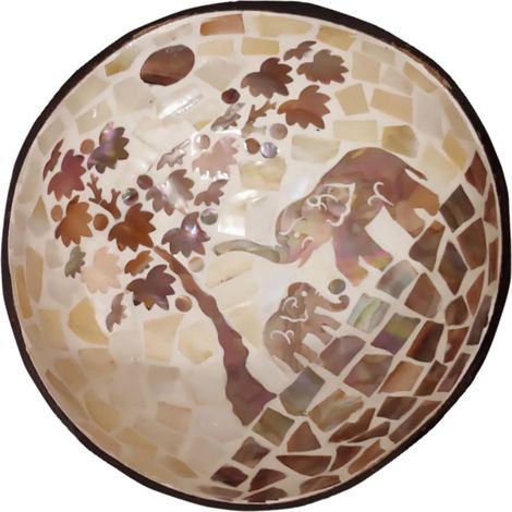 Bol en Coque de Noyau de Noix Naturel pour Rangement de Clés et Fruits Secs, Bol Décoratif Écologique en Bois pour Chambre ou Séance Photo (1/5)