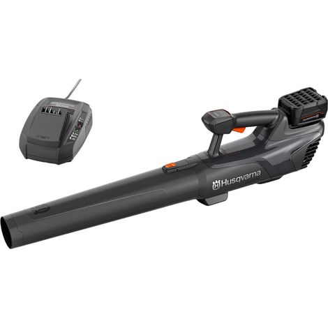 HUSQVARNA 120ITK4-P POTATORE A BATTERIA kit BLI10 + QC80 attrezzo rimuovibile (1/4)