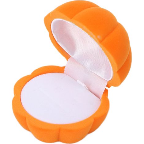 Boîte de Rangement pour Bijoux - Écrin à Colliers et Boucles d'Oreilles - Idée Cadeau Fête des Mères, Saint-Valentin, Anniversaire (1/5)