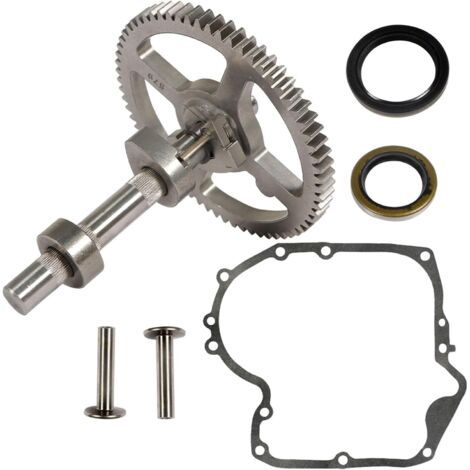 BUNTHAUS 791942 793880 Arbre À Cames Kit De Remplacement pour Briggs Stratton 84005207 793583 avec 795387 690947 499145 Joint Dhuile 697110 Carter (1/5)