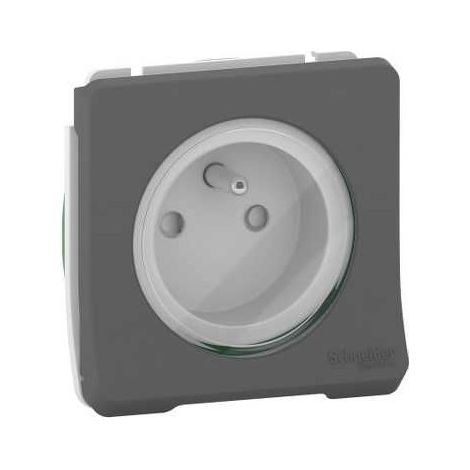 Steckdose 2p+t Ip55 Ik08 Automatische Verbindung - Kombinierbar - Grau - Mureva Styl