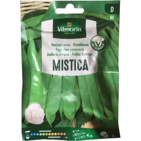 Vilmorin Mistica Enramemos JÐ©dische Samen - Ð©ber 25 gr.