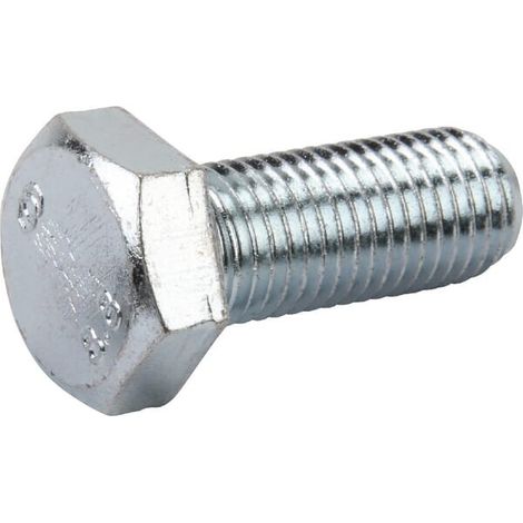 Vite testa esagonale AGRIA AGW28821