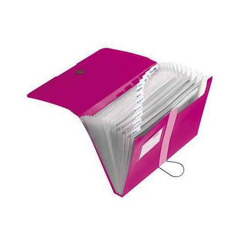 Fächermappe easy orga to go DIN A4 Polypropylen beere 12 Fächer (1/3)