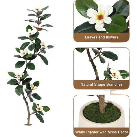 Pianta artificiale, fiori di magnolia realistici, vaso decorativo, 180 cm (1/2)