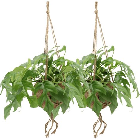 Lot de 2 Monstera Minima Suspendues en Feuillage Vert Décoratif 15 cm 25 cm - PANGIVO (1/5)